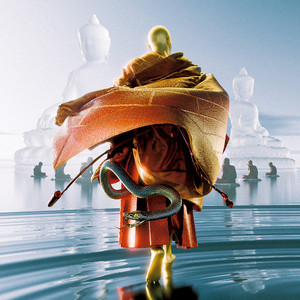 奶白官网登录入口
