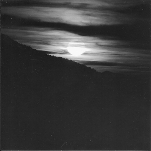 奶白官网登录入口
