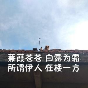 奶白官网登录入口
