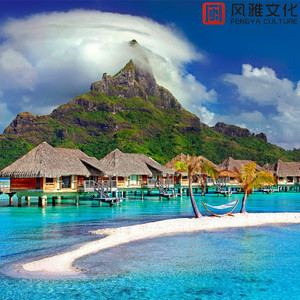 奶白官网登录入口
